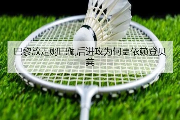 img_1792393832086_408_1_495.jpg